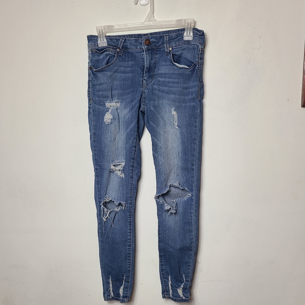 Astor Denim Distressed Skinny Jeans